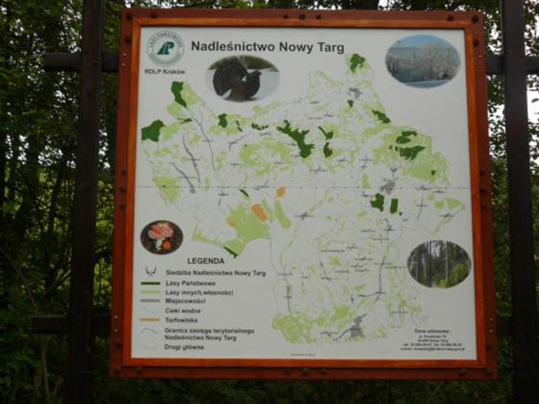 Leśna Ścieżka Edukacyjna