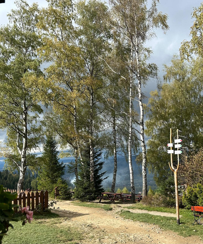 Szlaki turystyczne na Turbacz 