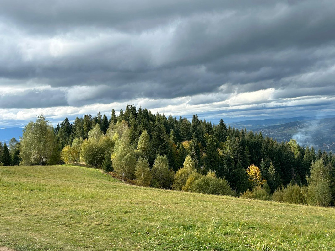 Szlaki turystyczne na Turbacz 