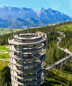 Ścieżki w koronach drzew na Podhalu